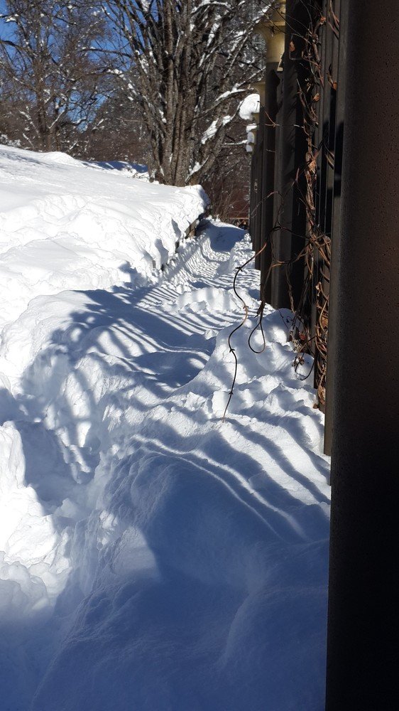 Photograph by Rimma Volchenko