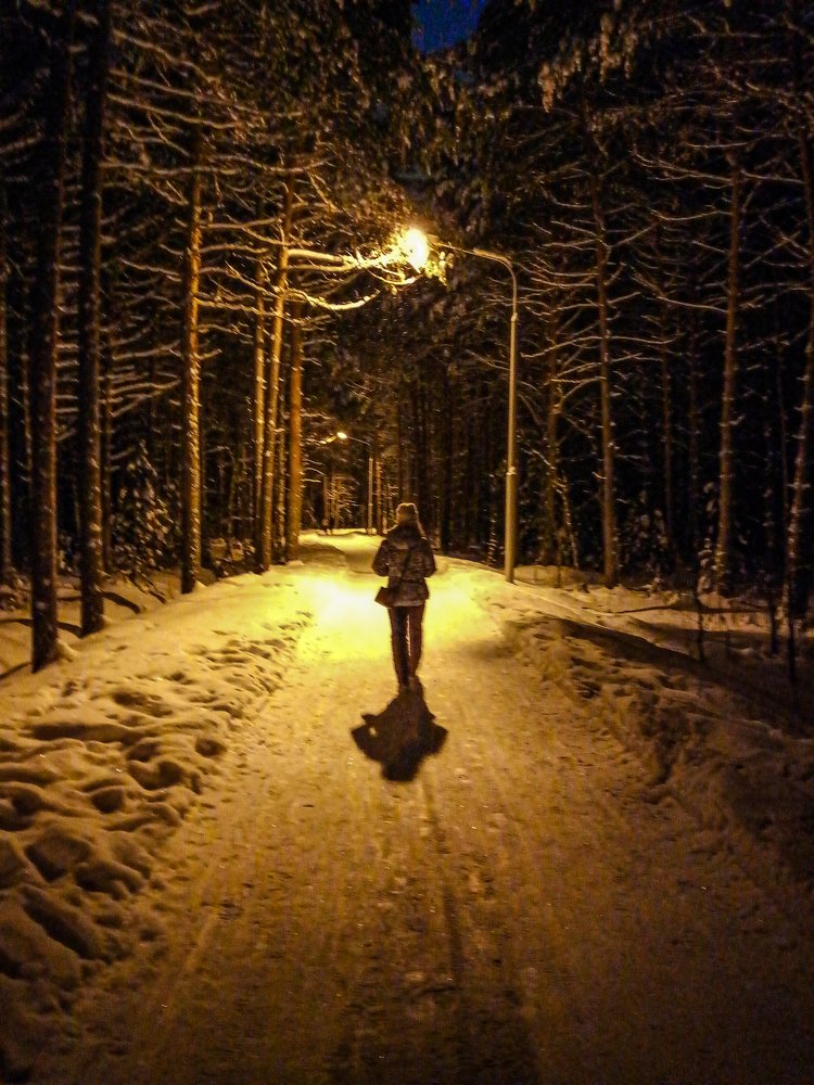 Photo #4251676