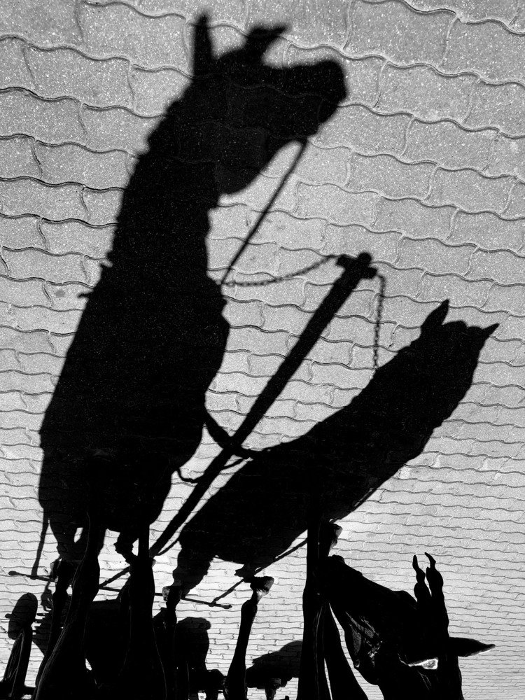 Photograph by DZMITRY