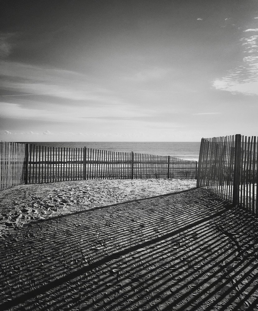 Photograph by Mia Depaola