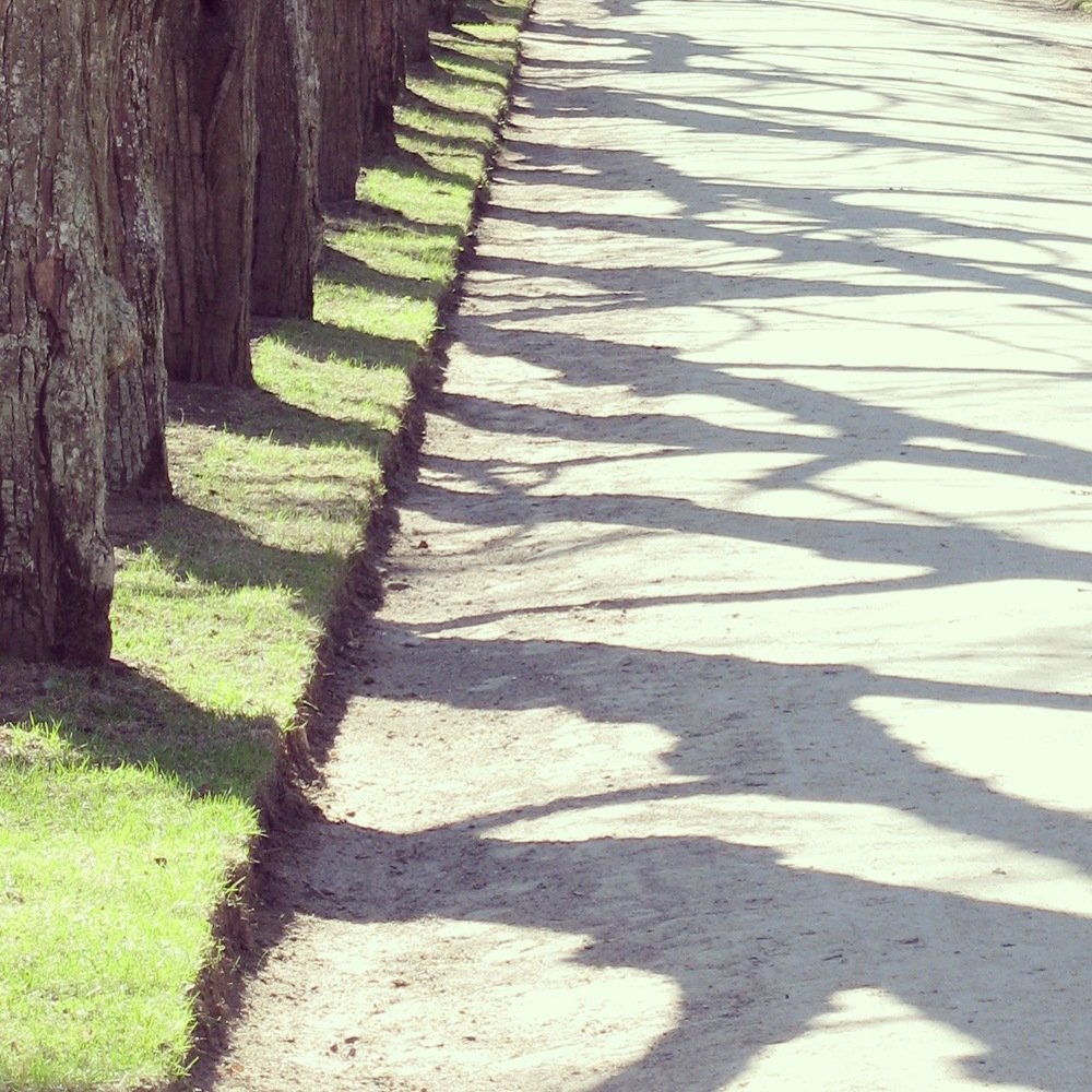 Фотография автора Михаил Балаев