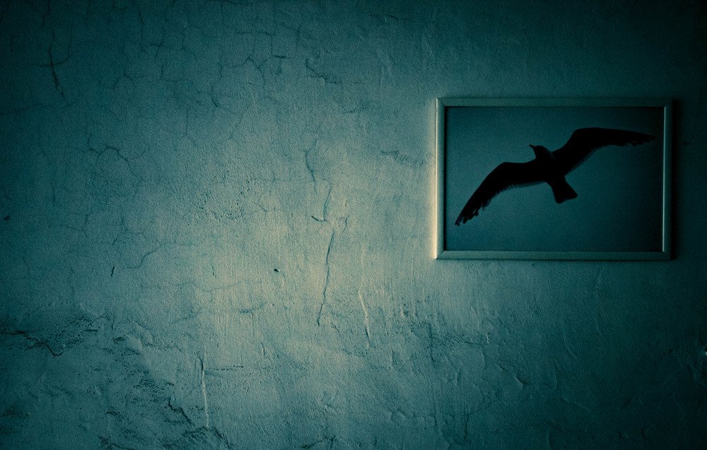 Photograph by Марат Хамитов