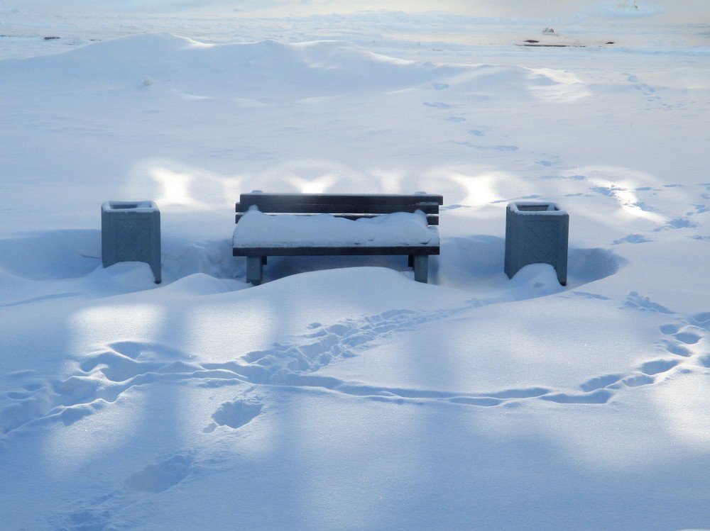 Photograph by Анатолий Плужников