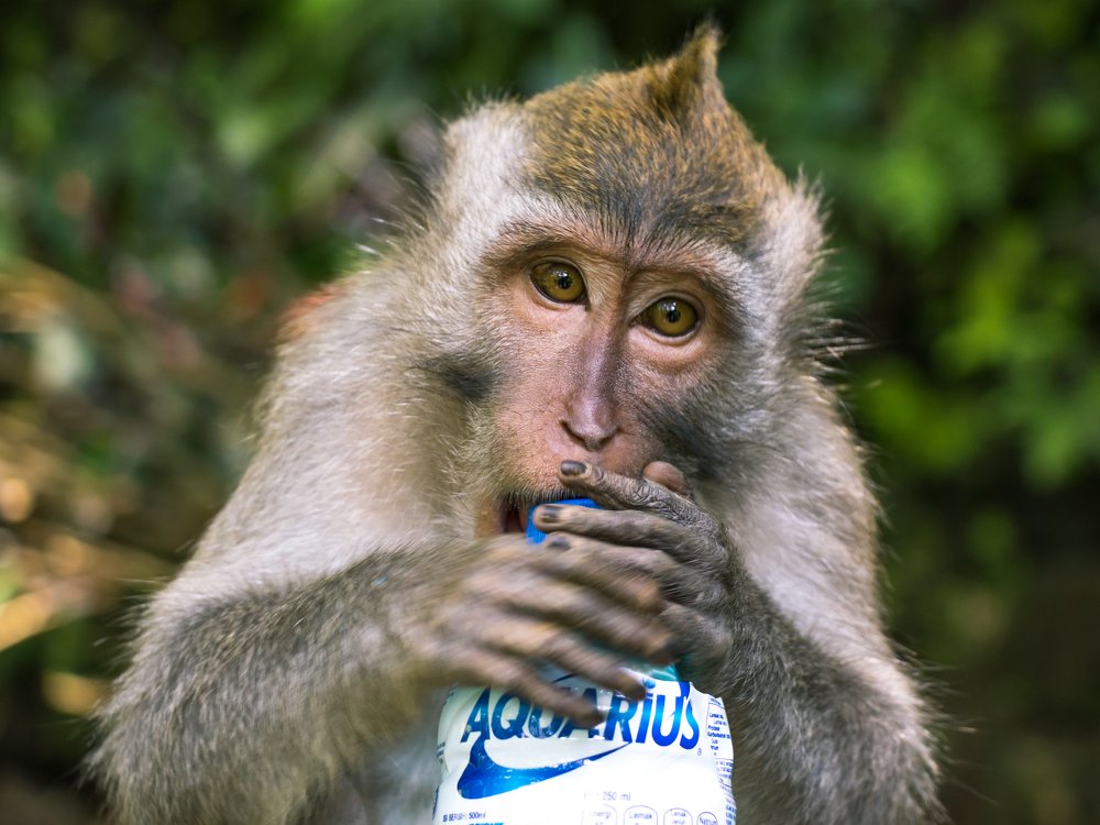 Photograph by Evgeniia Iakimenko