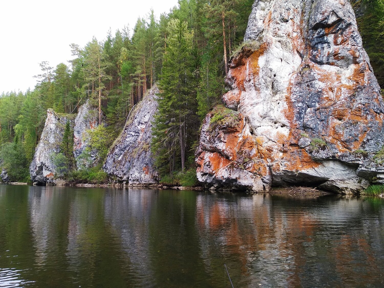 Photo #4251839