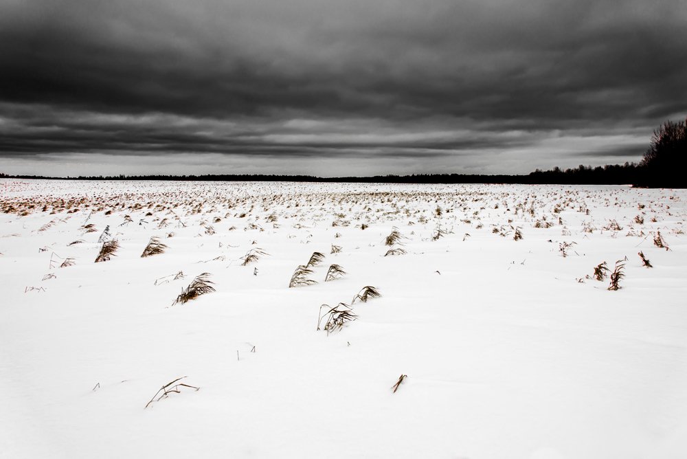 Photograph by Sergey Starostin