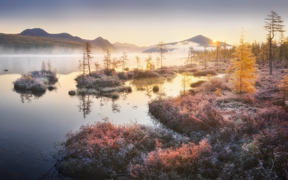 Фотография автора Дмитрий Медянцев