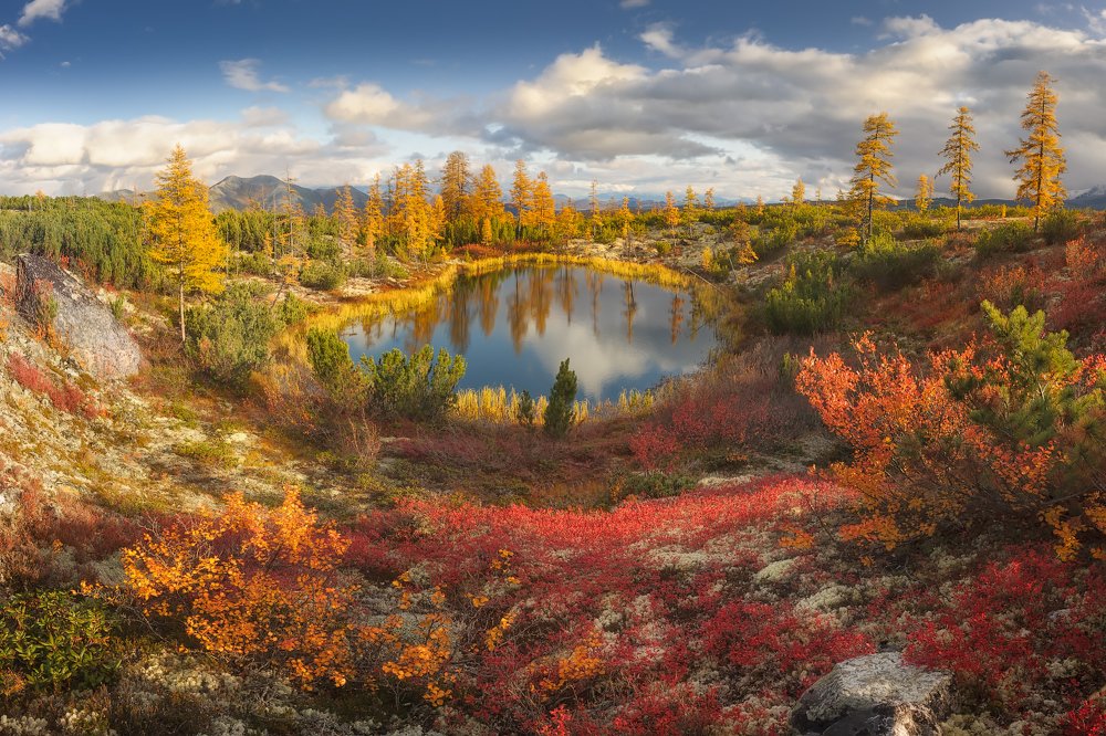 Фотография автора Дмитрий Медянцев