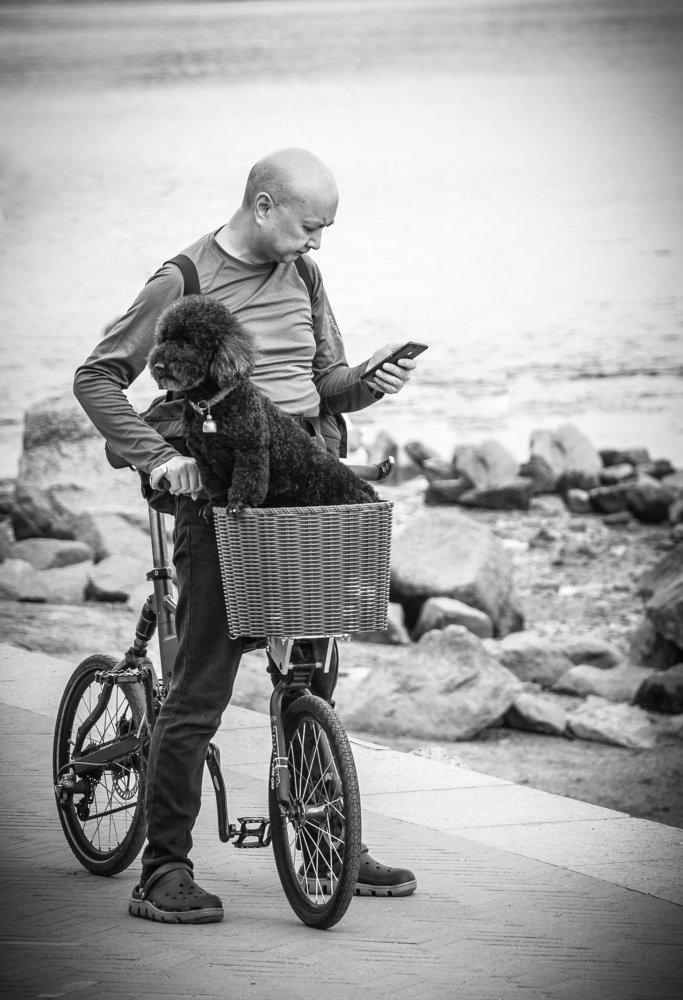 Photograph by Михаил Коган