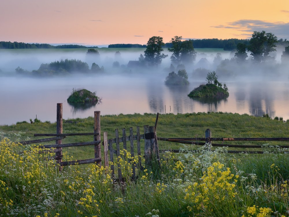 Фотография автора Дмитрий Медянцев