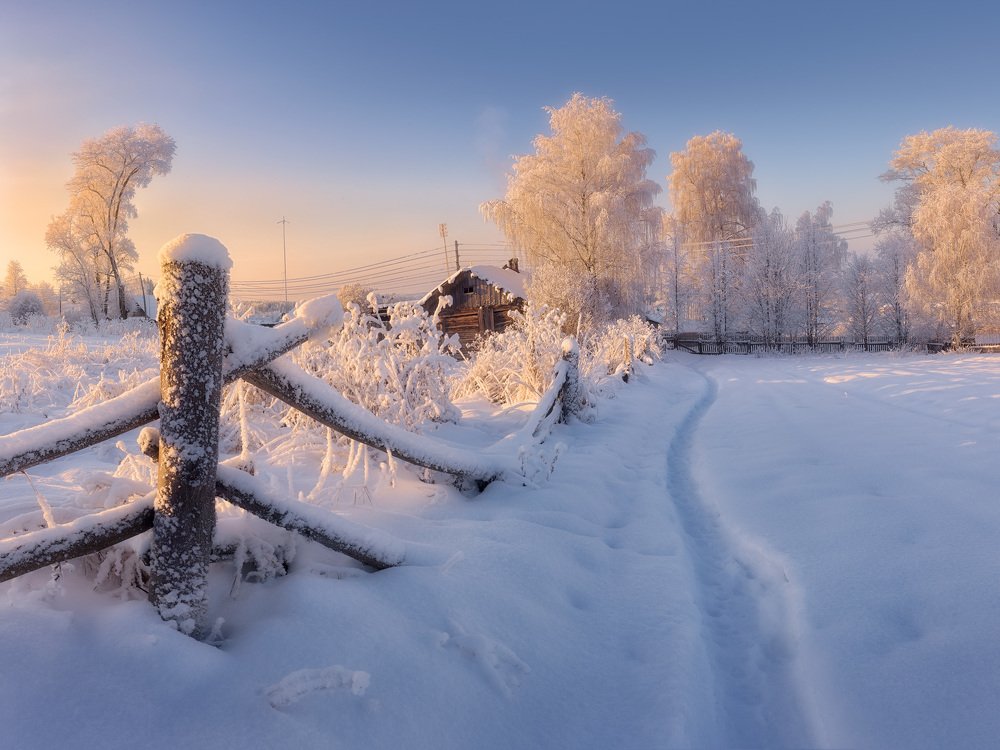 Фотография автора Дмитрий Медянцев