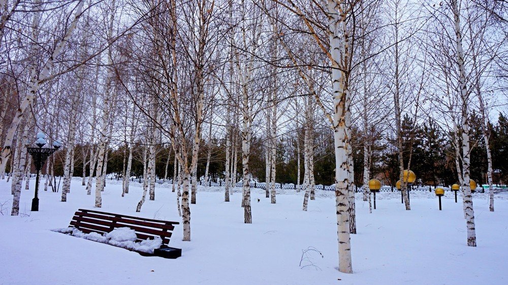 Photograph by Алия Байсыкова