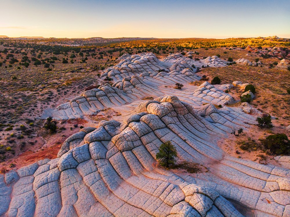 Photograph by Lana Anferow