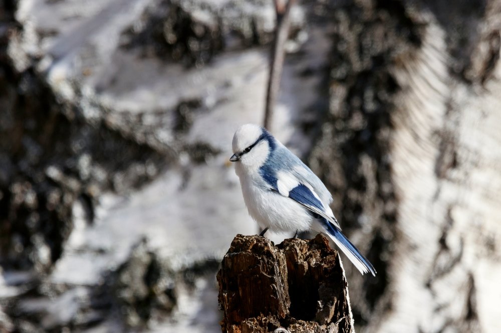 Photograph by Антон Мироненко-Маренков