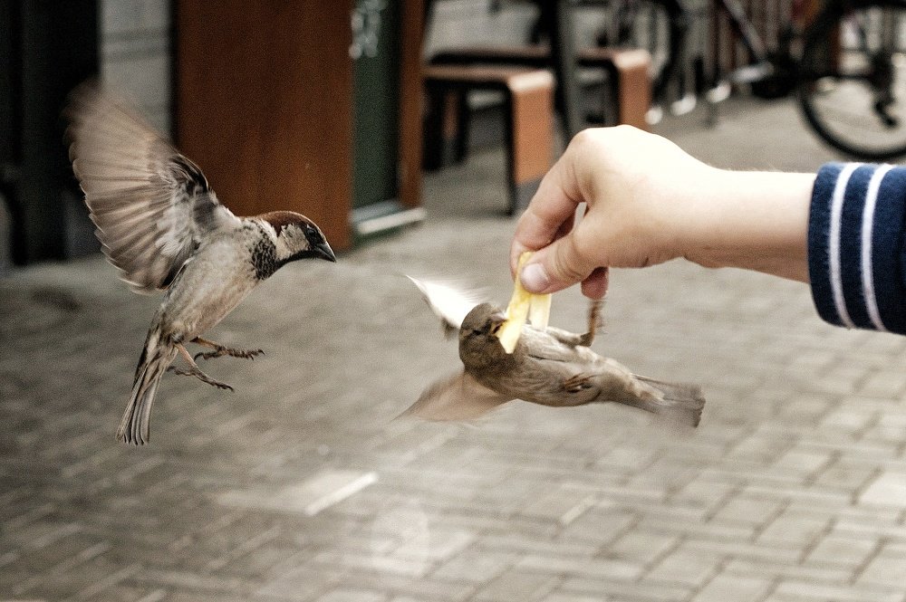 Сбой настроек фотокамеры, фотография 2019 г