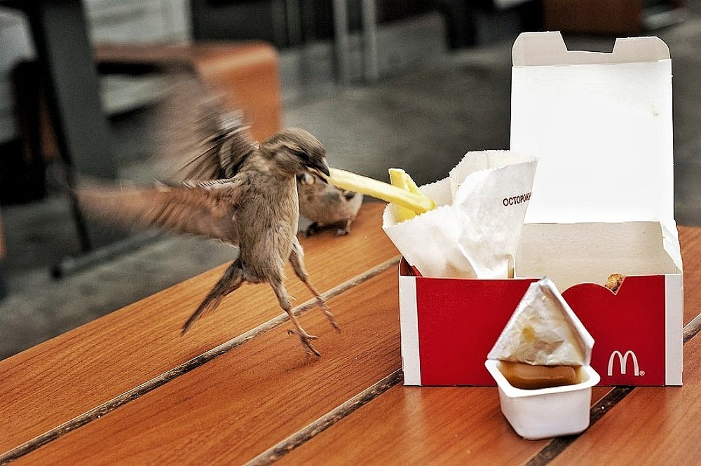 Photograph by Юлиана