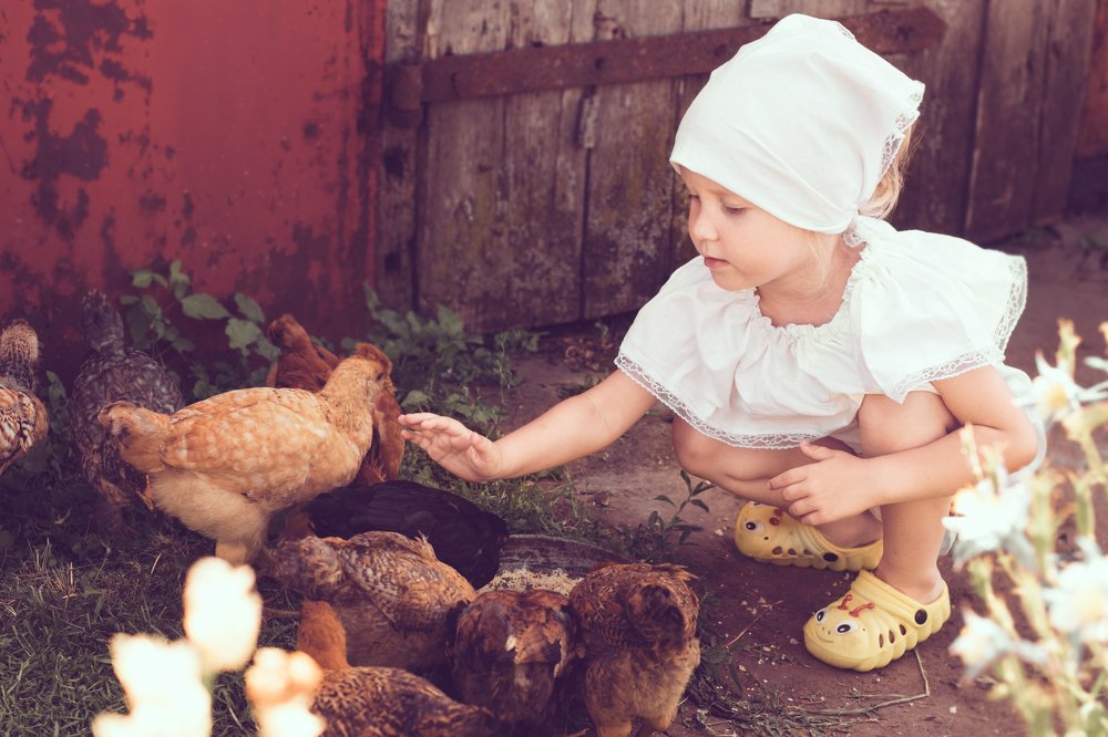 бабушкина помошница