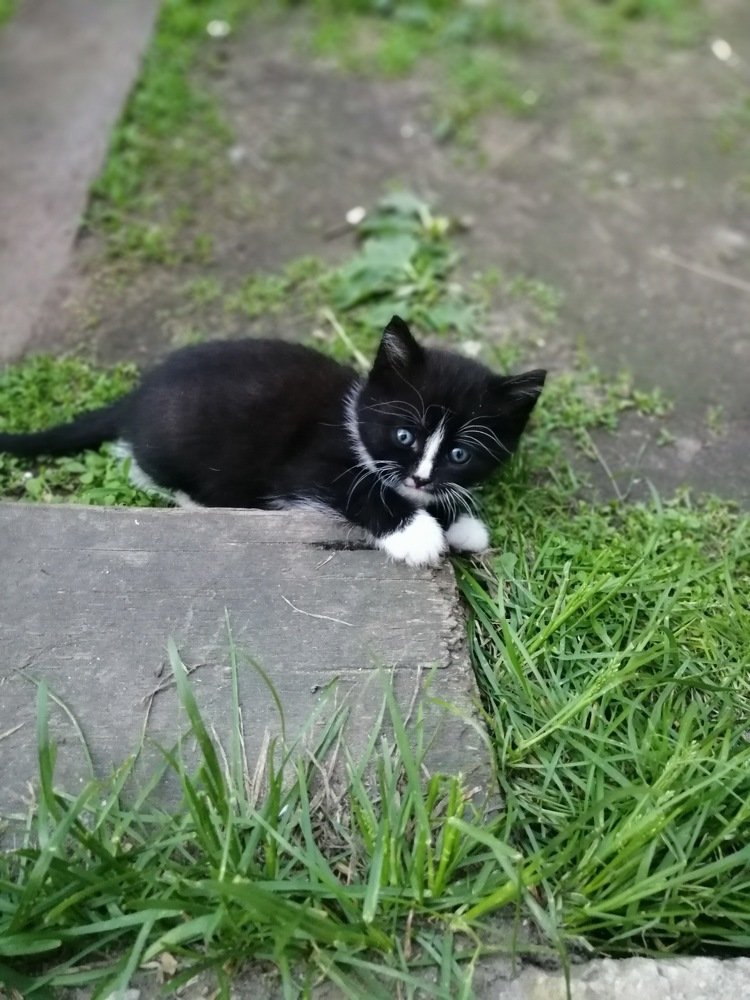 Photograph by София Саитова