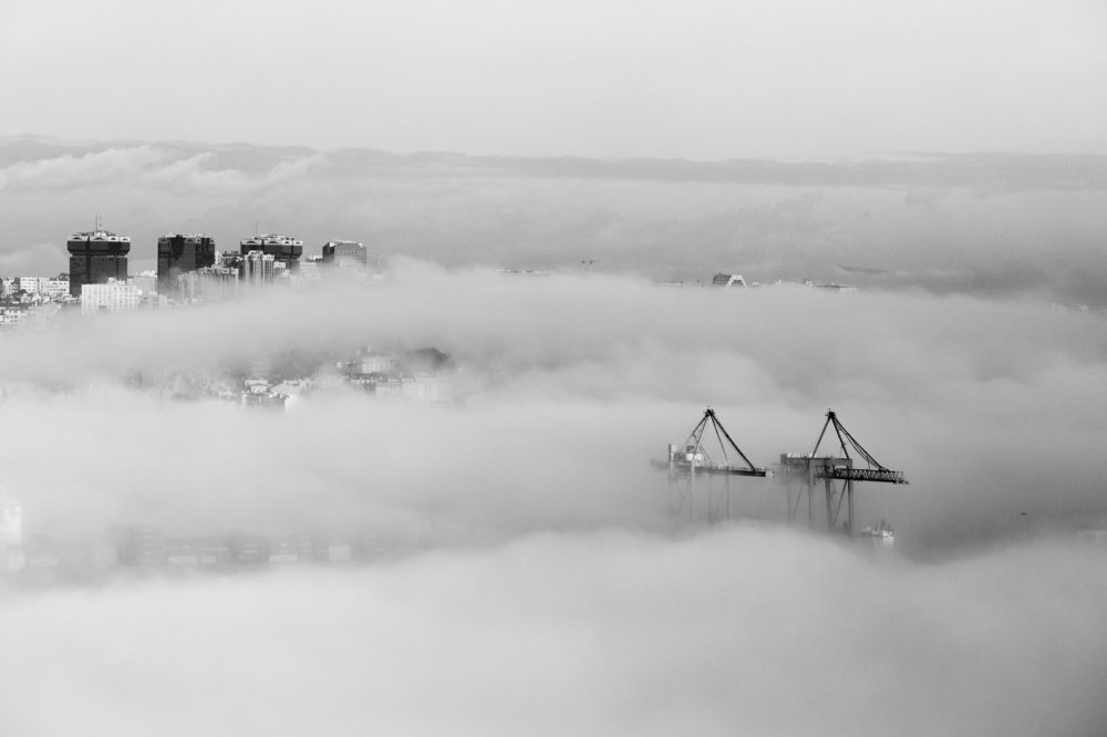 Photograph by Carlos Alberto Sequeira