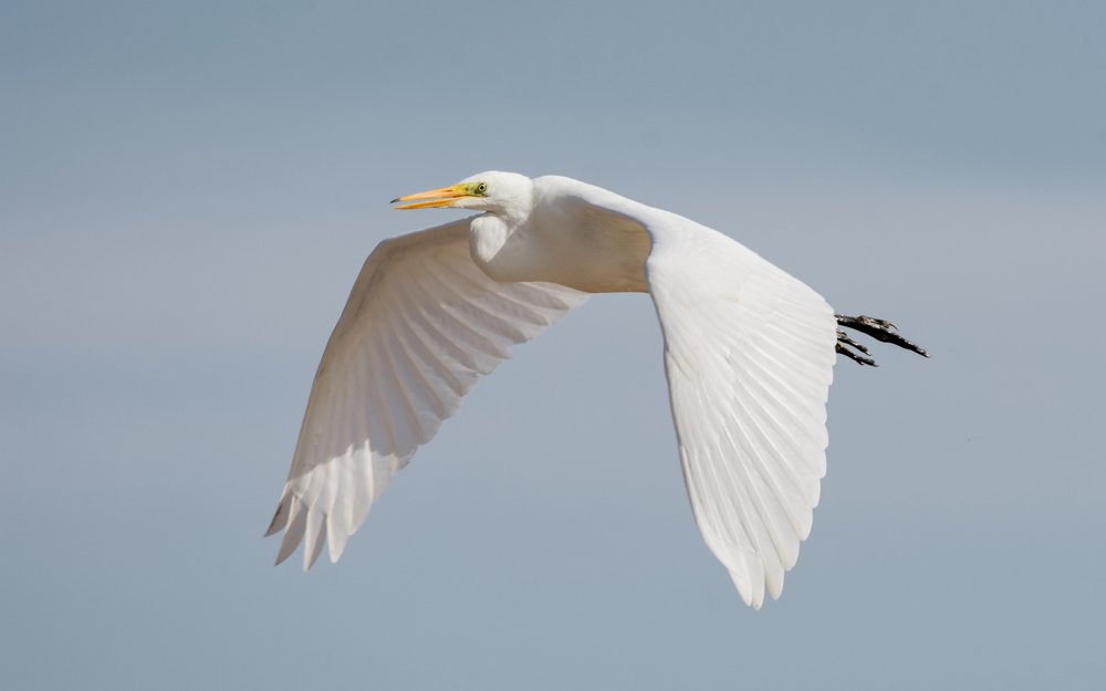 Фотография автора Татьяна Ливеровская