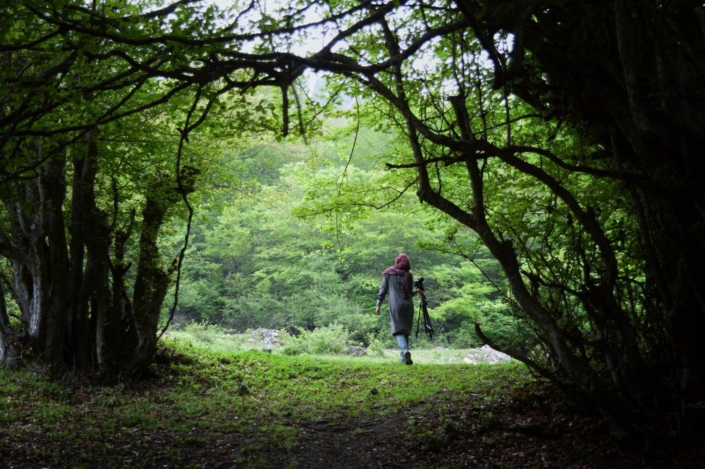 Photograph by Aminesadat mirhosseini