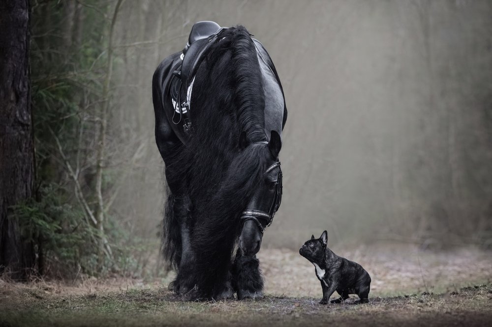 Photograph by Владислава Протащик