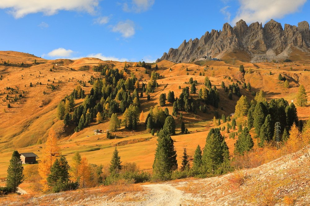 Photograph by Евгения Чех