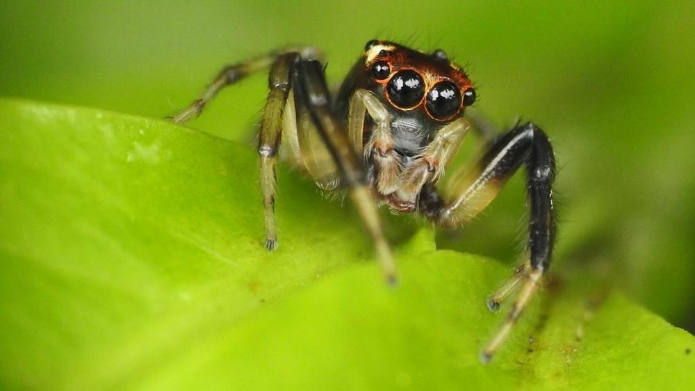 Photograph by PATI MORI CULQUI