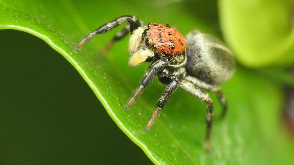 Photograph by PATI MORI CULQUI