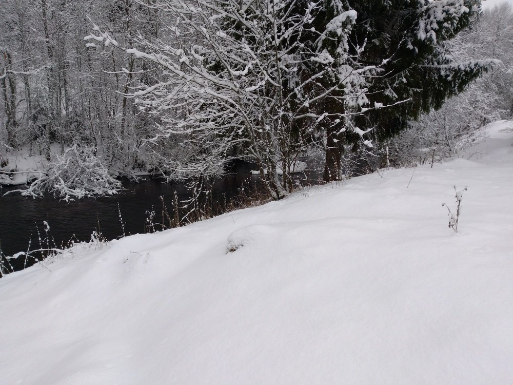 Photo #4252528