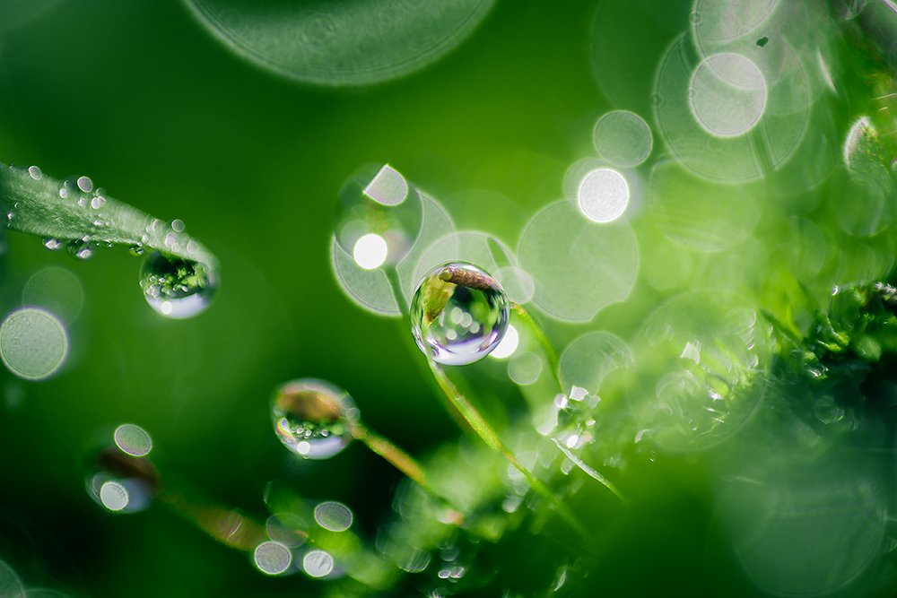 Photograph by linda laredj