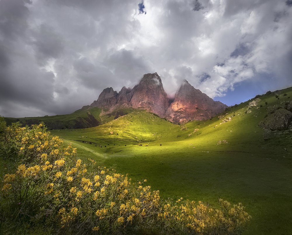 Фотография автора Елена Маковоз