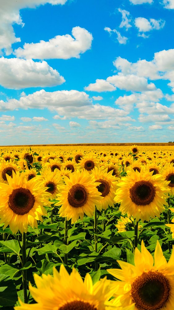 Photograph by Павел Игошин