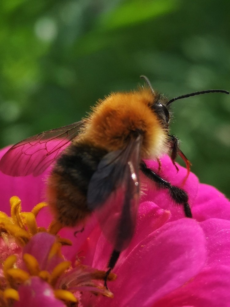 Photograph by Natali