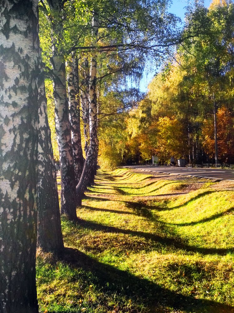 Photograph by Надежда