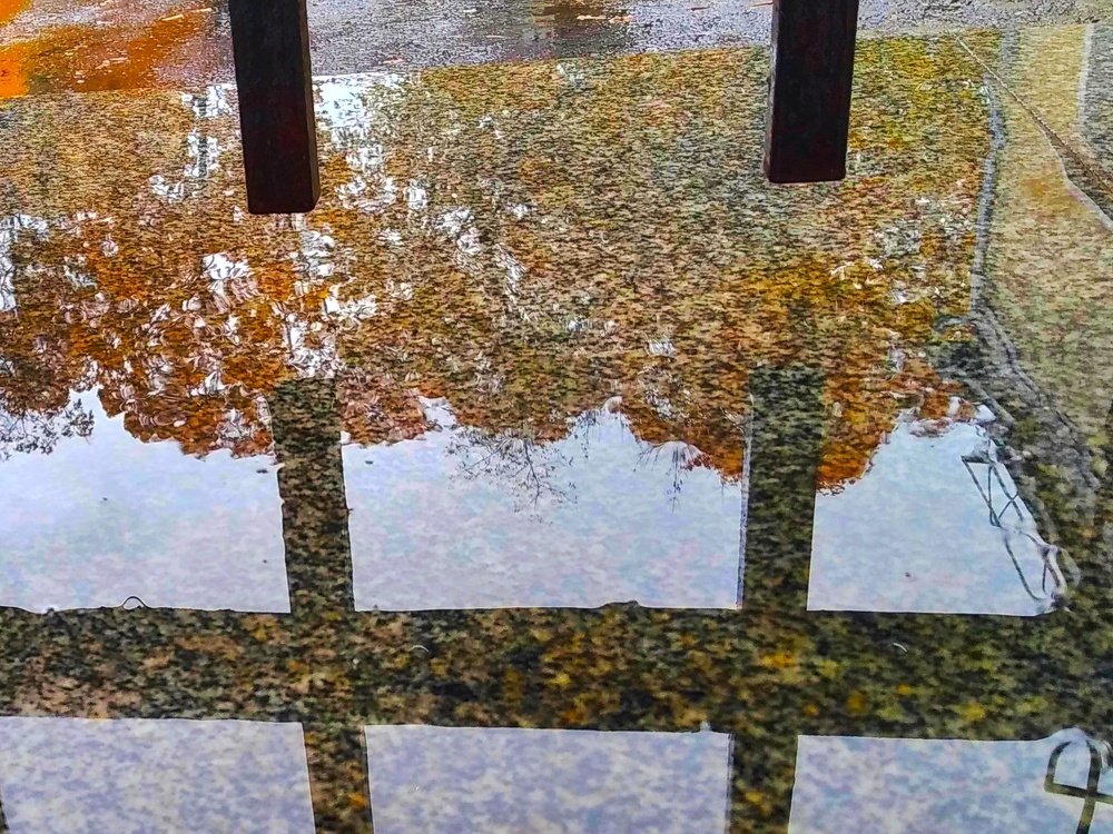 Photograph by Надежда