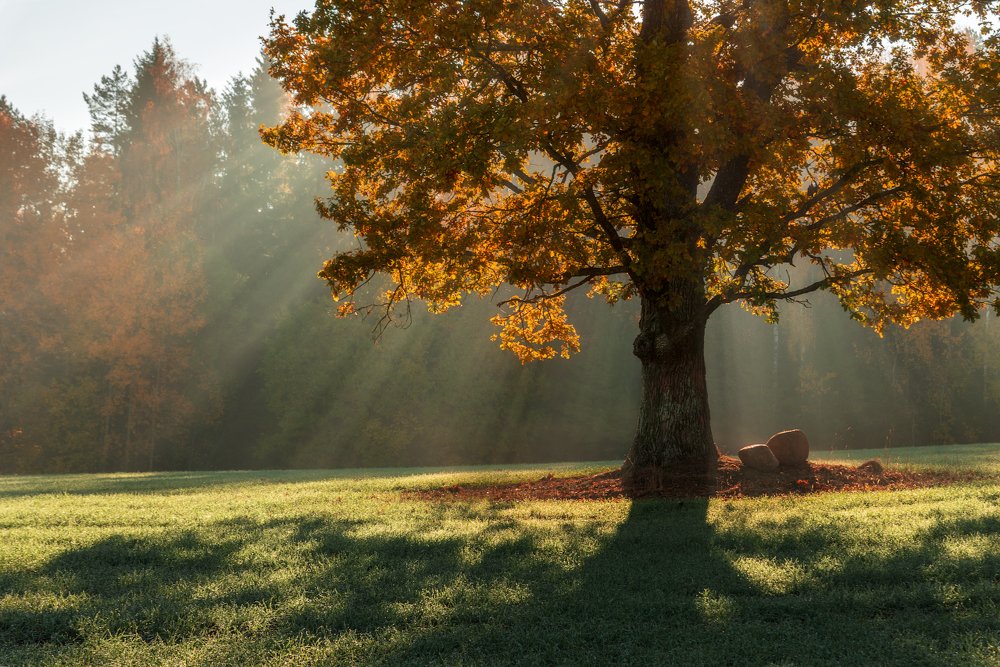 Photograph by Ольга Максимова