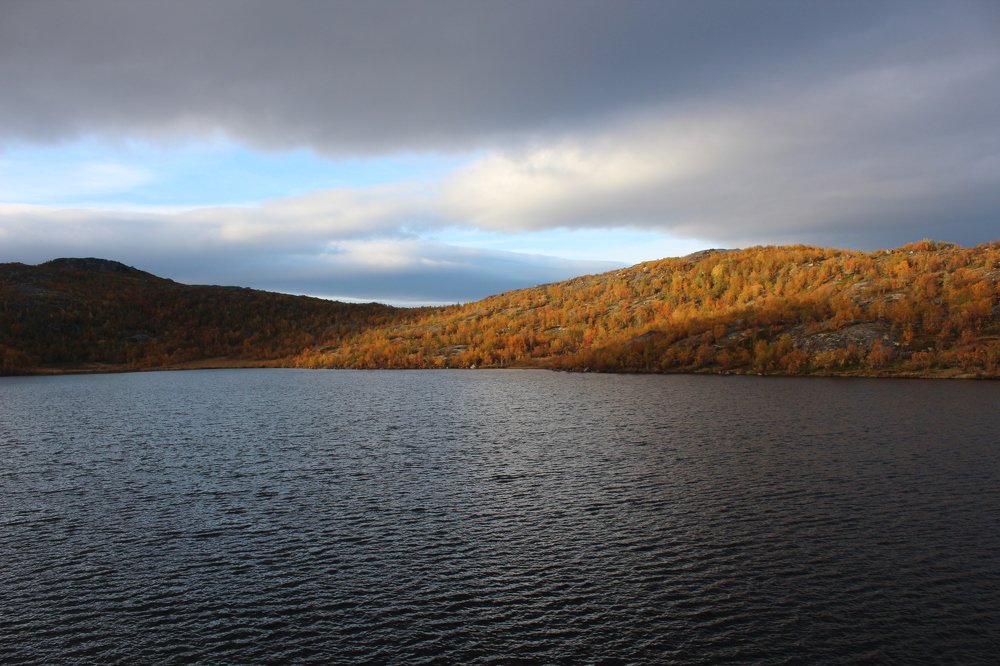 Фотография автора Андрей Шувалов