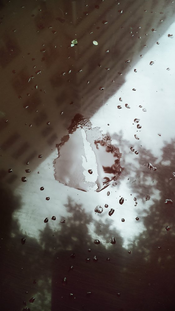 Фотография автора Дмитрий Нефёдов