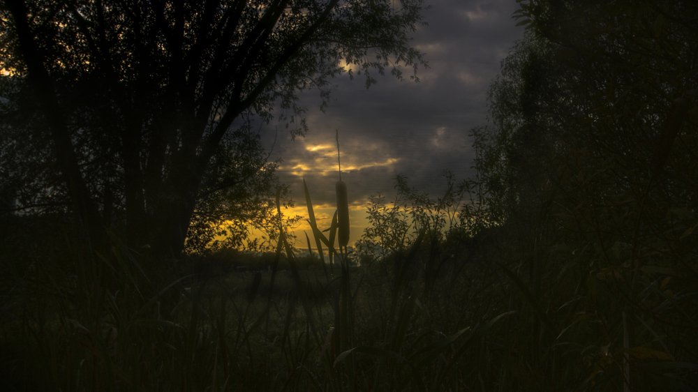 Фотография автора Дмитрий Нефёдов