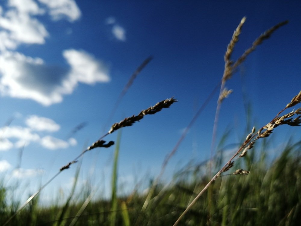 Photograph by София Саитова