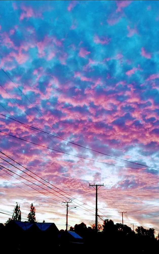 Photo #4252859