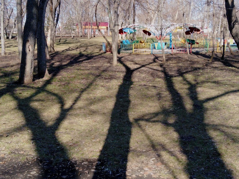 Photograph by Евгения Смирнова