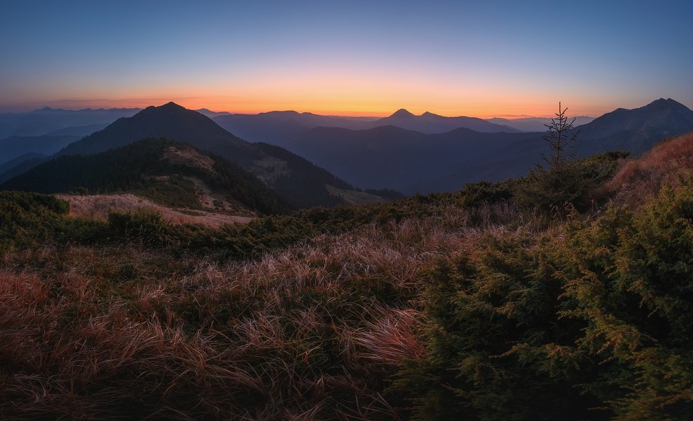 Фотография автора U-235