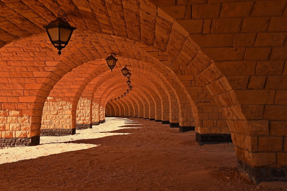 Photograph by Nikolai Savin