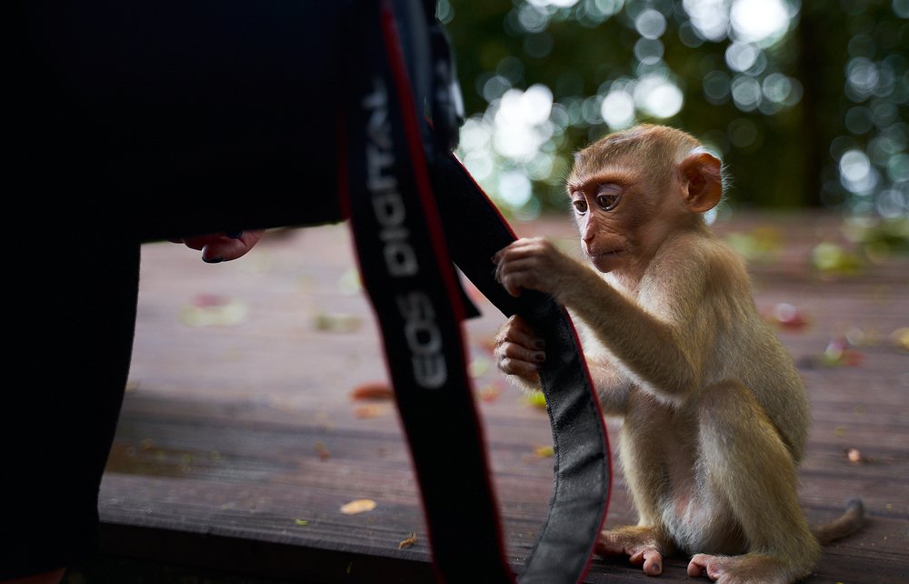 Photograph by Maks Sirman