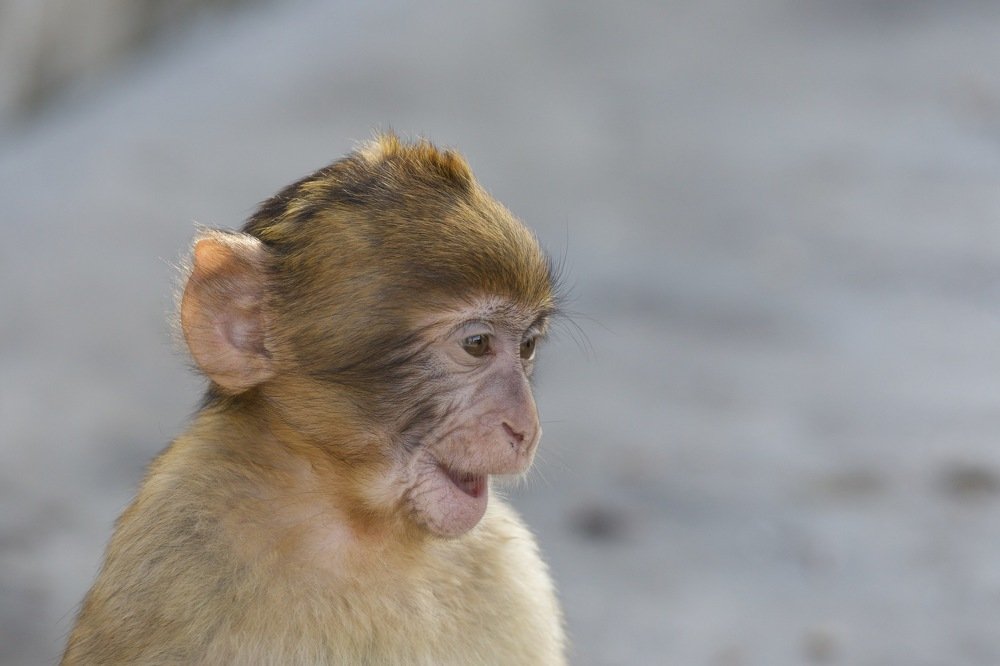 Photograph by Michel Hidalgo