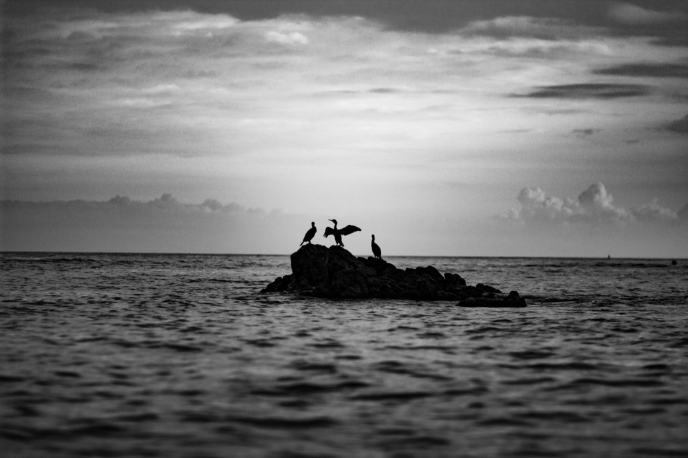 Photograph by Orsolya Kiss