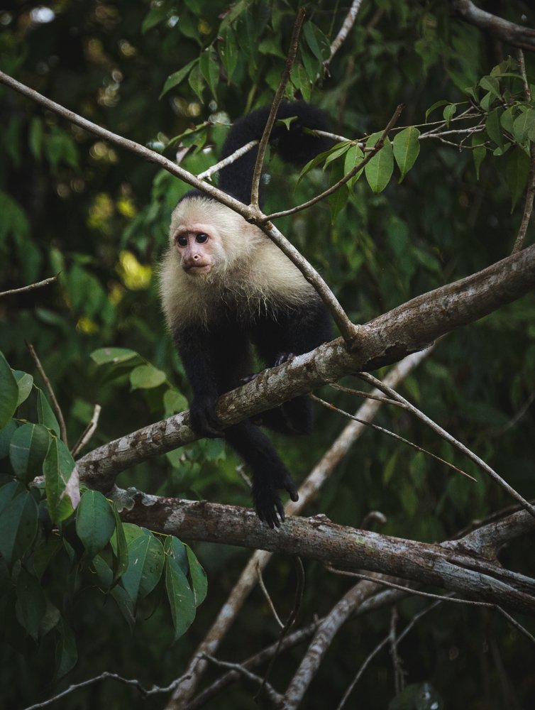 Photograph by Iris Lara