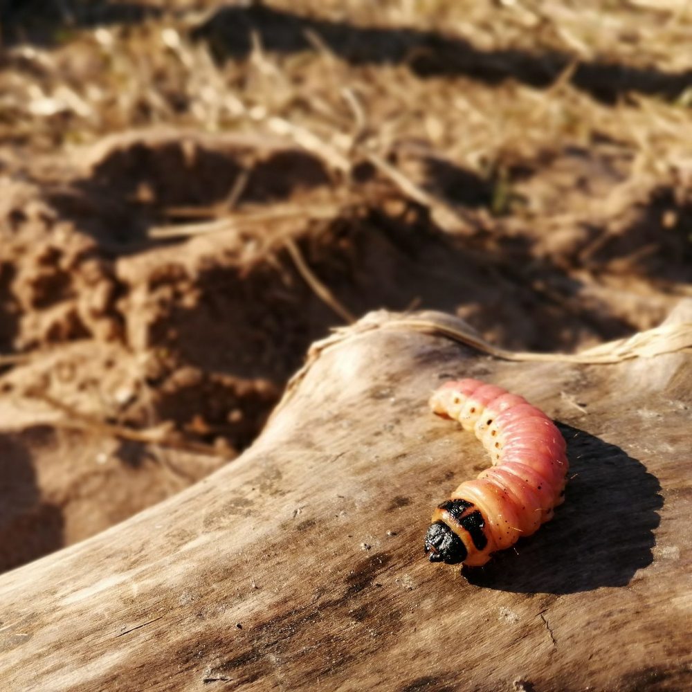 Photograph by Даниил Семенов